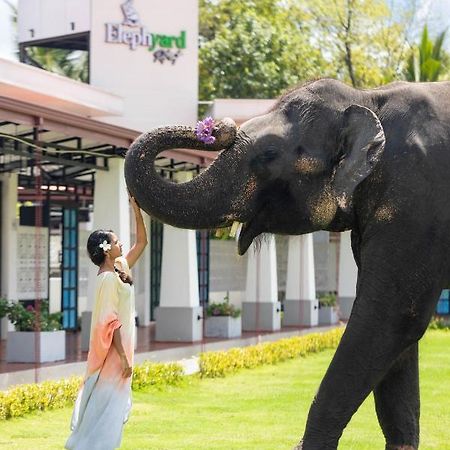 Elephyard Retreat Hotel Mahiyanganaya Buitenkant foto