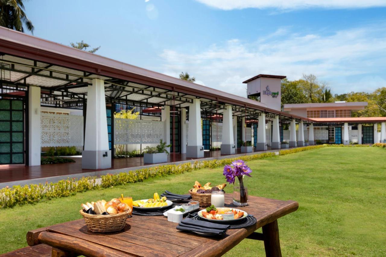 Elephyard Retreat Hotel Mahiyanganaya Buitenkant foto