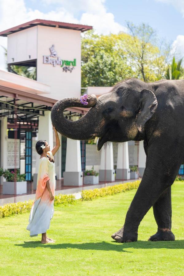 Elephyard Retreat Hotel Mahiyanganaya Buitenkant foto